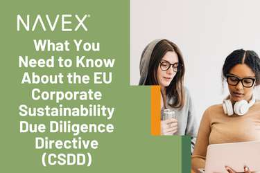 What You Need to Know About the EU Corporate Sustainability Due Diligence Directive (CSDD)